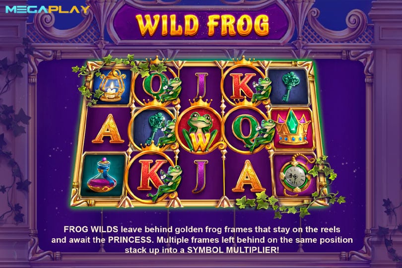 ฟีเจอร์ Wild Frog