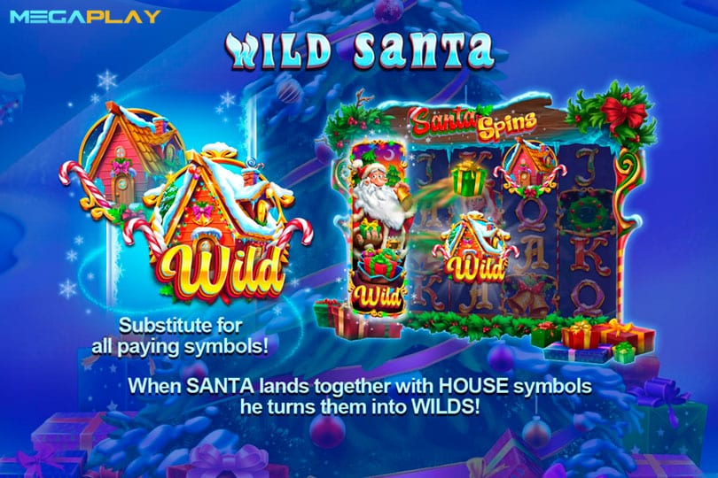 ฟีเจอร์ Wild Santa