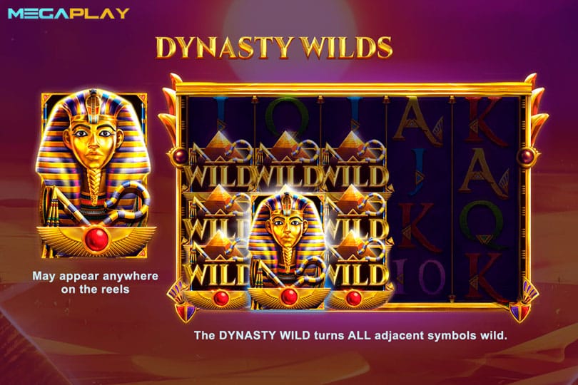 ฟีเจอร์ Dynasty Wilds