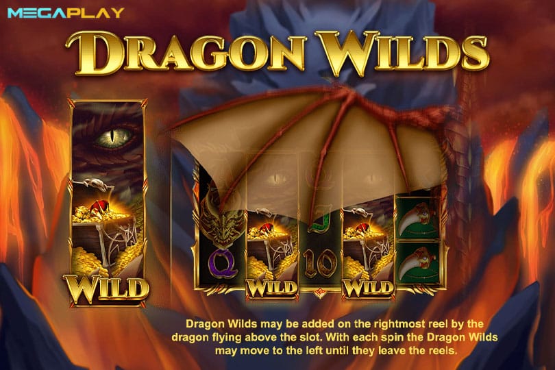 ฟีเจอร์ Dragon Wilds